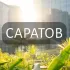 Мой Саратов: Новости, Мероприятия, Вакансии,Бюро находок,Отдам даром,Подслушано,Услуги,Недвижимость,Объявления,ЧП,Афиша,Работа