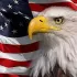 США Америка Б.Р.И.Т. - Бизнес. Работа. Информация. Туризм.