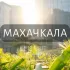 Моя Махачкала: Новости, Мероприятия, Вакансии,Бюро находок,Отдам даром,Подслушано,Услуги,Недвижимость,Объявления,ЧП,Афиша,Работа