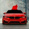 BMW KING