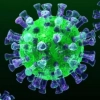 Новости про коронавирус