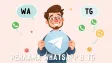 «Пользователи жалуются»: WhatsApp начал маскироваться под голос Telegram-сообществ