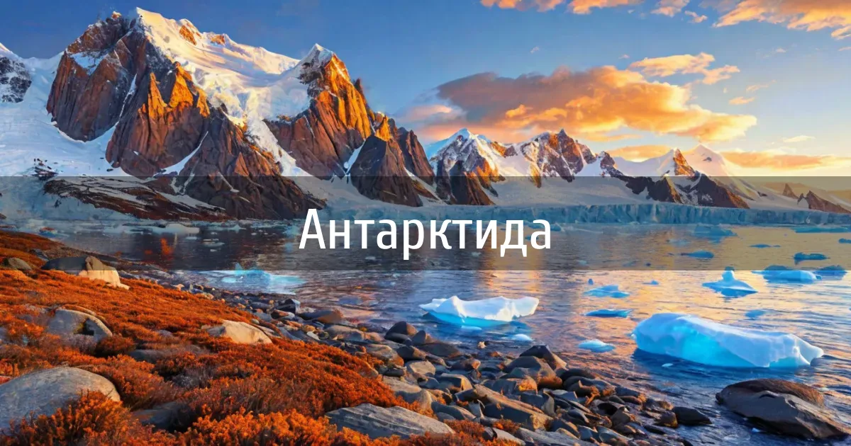 Чаты и каналы страны Антарктида
