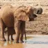 KAMERAZ OF AFRIKA RU туры/путешествие/туризм/КЕНИЯ/ТАНЗАНИя