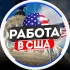 Работа в Сан-Франциско