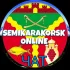 Семикаракорск Чат