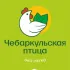 Чебаркульская птица
