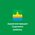 Сурский район