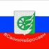 Своих не бросаем Шахунья Chat