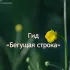 Бегущая строка Сортавала новости