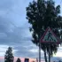 чат сосновоборск любит ❤️‍🔥