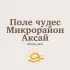 Ростов Поле чудес Микрорайон Аксай Знакомства Чат Общение Познакомиться Нетворкинг Клуб Эмоция Группа