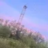 Чертково в картинках
