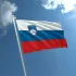 Русские в Словении. Чат.