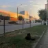 В Острогожске любят