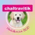Чат Chaltravitik Чалтырь, Ростов, область 😊