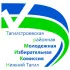 Тагилстроевская РТМИК города Нижний Тагил