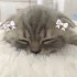 Общение