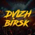 DVIZH BIRSK чат