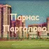🌆 Парнас и Парголово Live