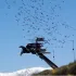 Благоевград