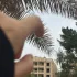 Жизнь в Египте 🇪🇬
