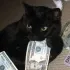 чат ищу тебя Димитровград