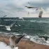 𝐀𝐊𝐓𝐀𝐔 𝐂𝐇𝐀𝐓