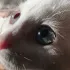 Общение _Березники🫰