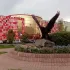 Типичный Братск | Подслушано