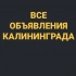 ВСЕ ОБЪЯВЛЕНИЯ КАЛИНИНГРАДА 👑