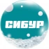 СИБУР