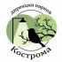 чат Дирекция парков города Кострома