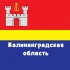 Чат Калининградская область: Калининград, Советск, Черняховск, Балтийск, Гусев, Светлый, Гурьевск, Зеленоградск, Пионерский