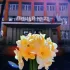 МБОУ лицей № 23 города Ставрополя