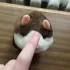 общение череповец