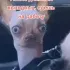 Общение Уфа