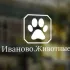 Чат:Иваново Животные (И.Ж.)