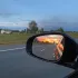 Попутчики Беларусь
