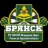 Брянская Федерация Дартс общение