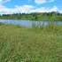 Попутчики Брянская область