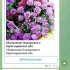 Объявления Осакаровка и Карагандинская обл.