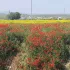 Экскурсия по всему города Узбекистана🇺🇿🇺🇿🇺🇿