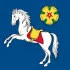 Українці в Остраві