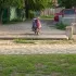 Скутеры для лохов