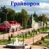 Грайворон чат