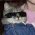 (Абатский район).. Сигма