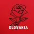 Slovakia Словакия Словаччина + Братислава