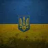 Ukraine - Помощь в Кракове